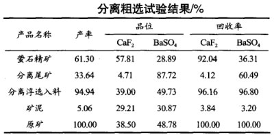 分離粗選試驗(yàn)結(jié)果